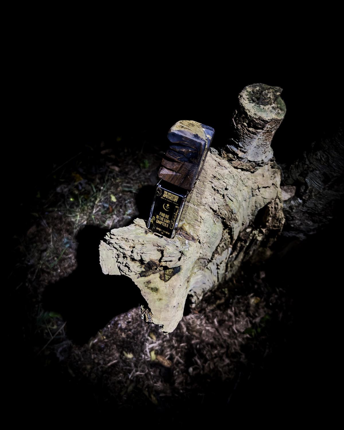 عطر ادکلن فایند می این د دارک چپتر دو دی آنلیشد آپاثکری - Find Me In The Dark Chapter II The Unleashed Apothecary - بررسی، قیمت و خرید