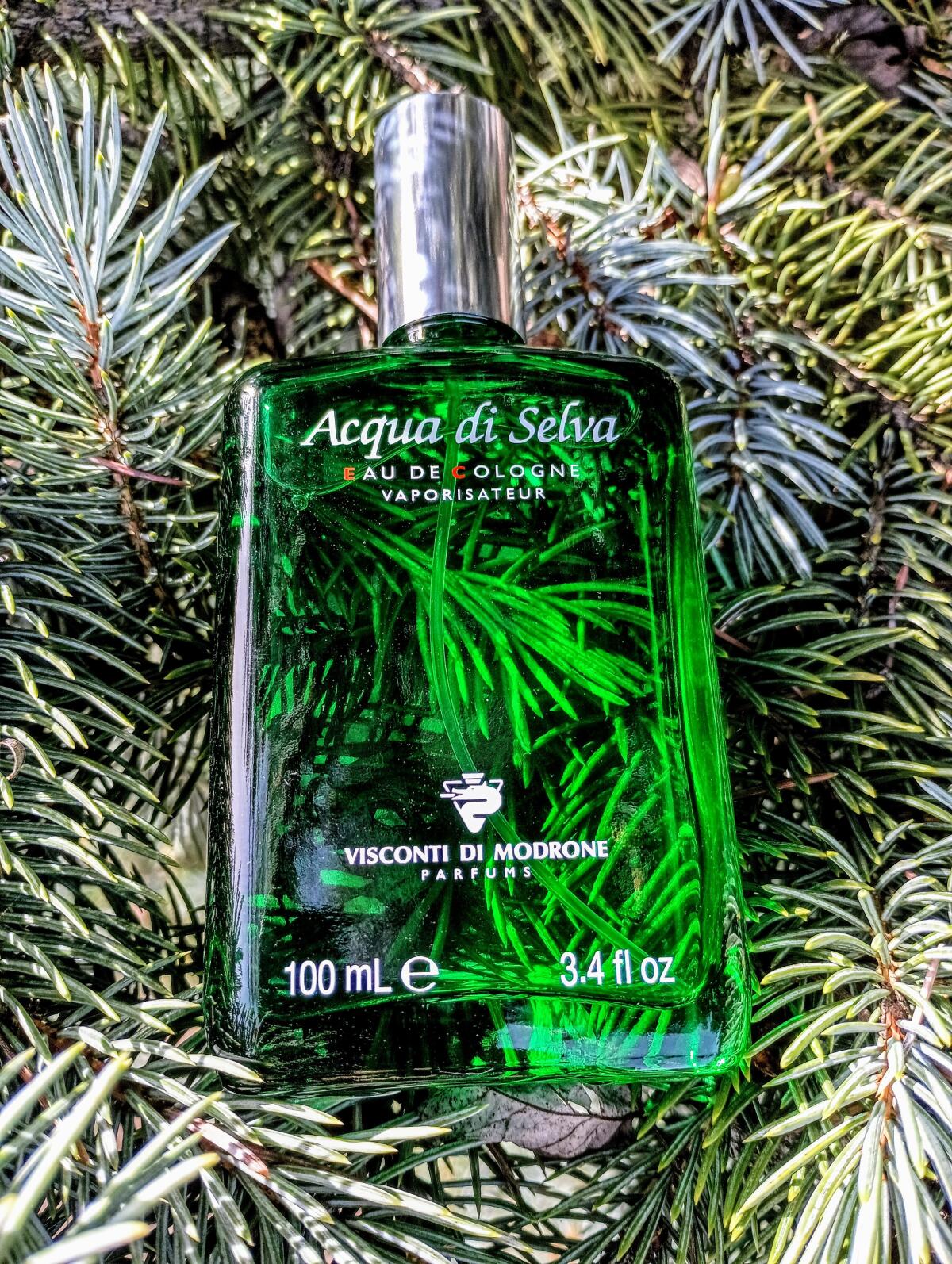 عطر ادکلن آکوا دی سلوا ویسکونتی دی مودرونه - Acqua di Selva Visconti di Modrone - بررسی، قیمت و خرید