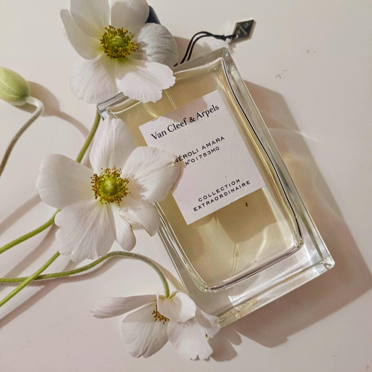عطر ادکلن نرولی آمرا ون کلیف اَند آرپِلز - Néroli Amara Van Cleef & Arpels - بررسی، قیمت و خرید