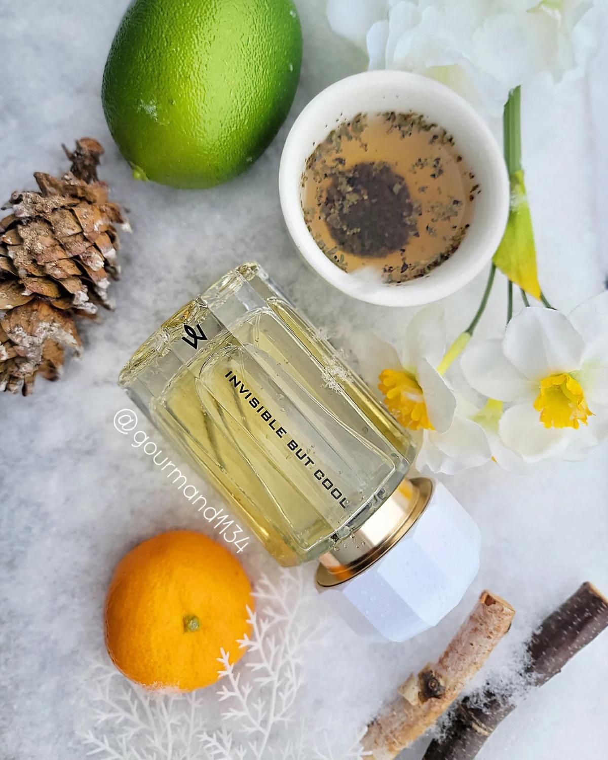 عطر ادکلن اینویزیبل بات کول رامون مونيگال - Invisible But Cool Ramon Monegal - بررسی، قیمت و خرید