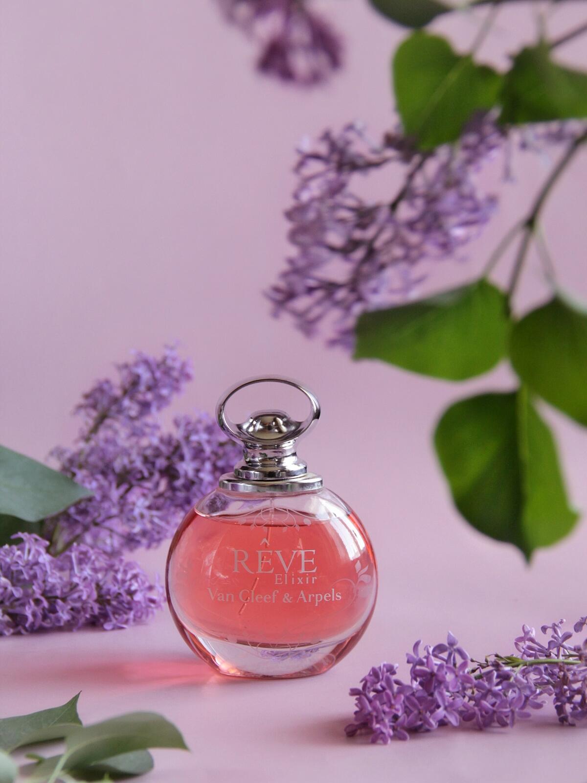 عطر ادکلن رِو الیکسیِر ون کلیف اند آرپلز - Rêve Elixir Van Cleef & Arpels - بررسی، قیمت و خرید