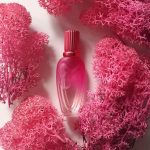 عطر ادکلن س…ک..سی گرافیتی اِسکادا - Sexy Graffiti Escada - بررسی، قیمت و خرید