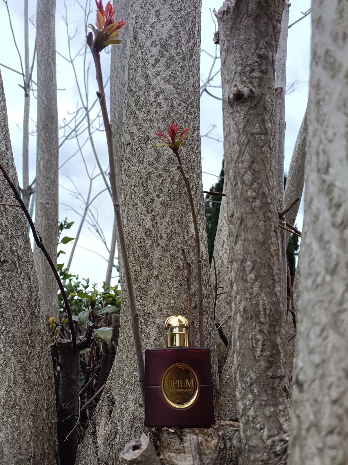 عطر ادکلن اوپیوم او د تویلت ایو سن لورن - Opium Eau de Toilette 2009 Yves Saint Laurent - بررسی، قیمت و خرید