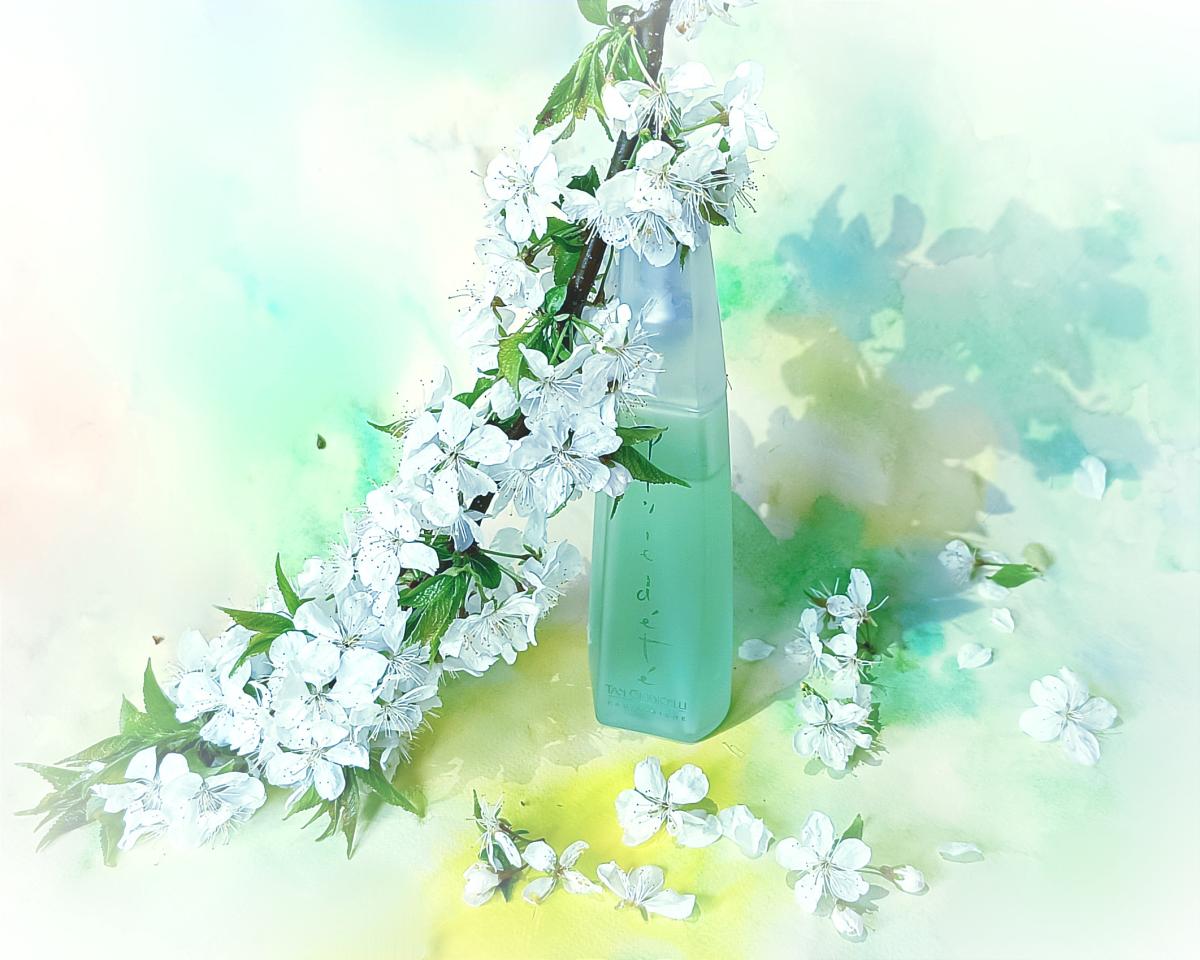 عطر ادکلن پلویدته تن جوادچلی - Pluie d'Ete Tan Giudicelli - بررسی، قیمت و خرید