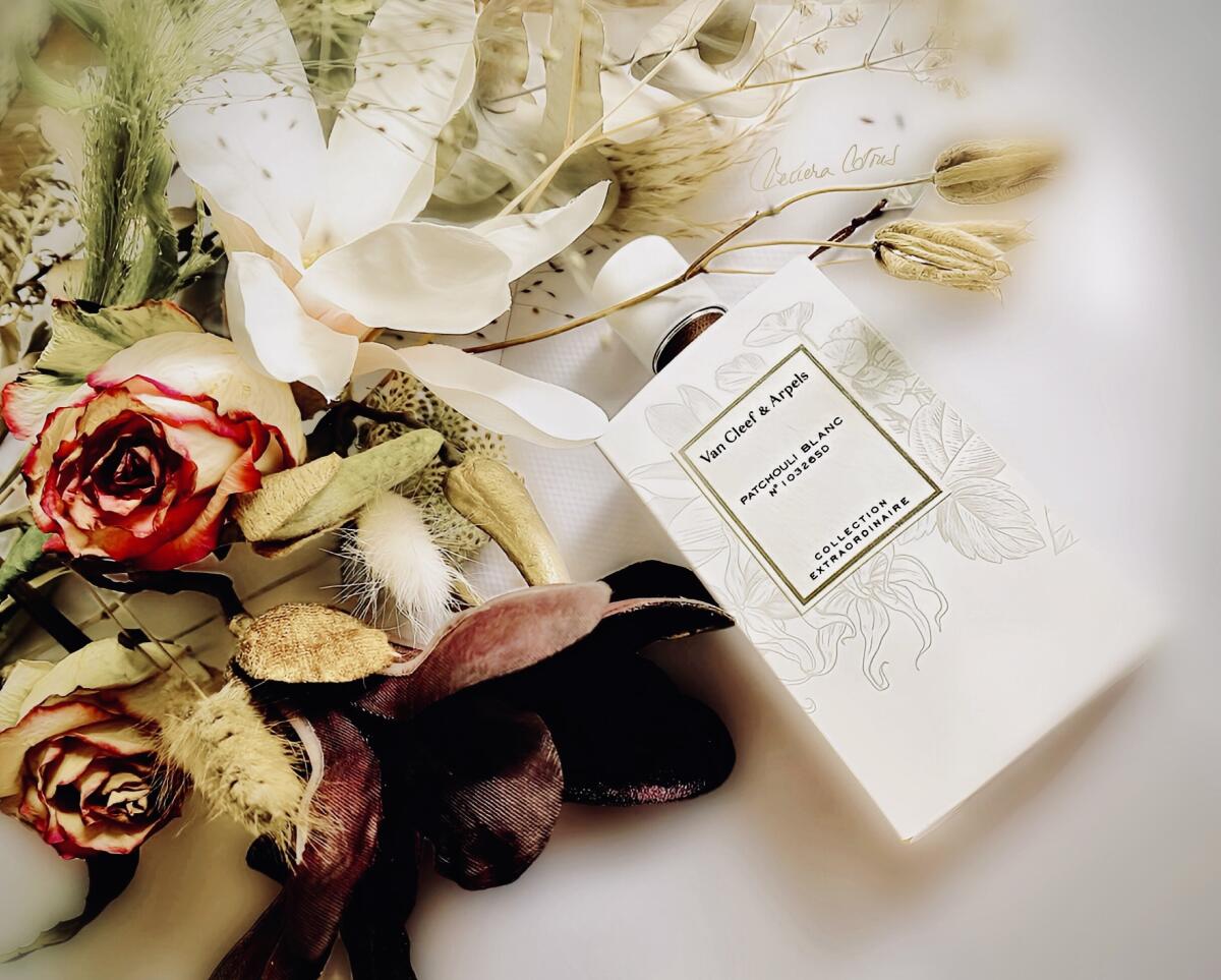 عطر ادکلن پچولی بلانک ون کلیف اند آرپلز - Patchouli Blanc Van Cleef & Arpels - بررسی، قیمت و خرید