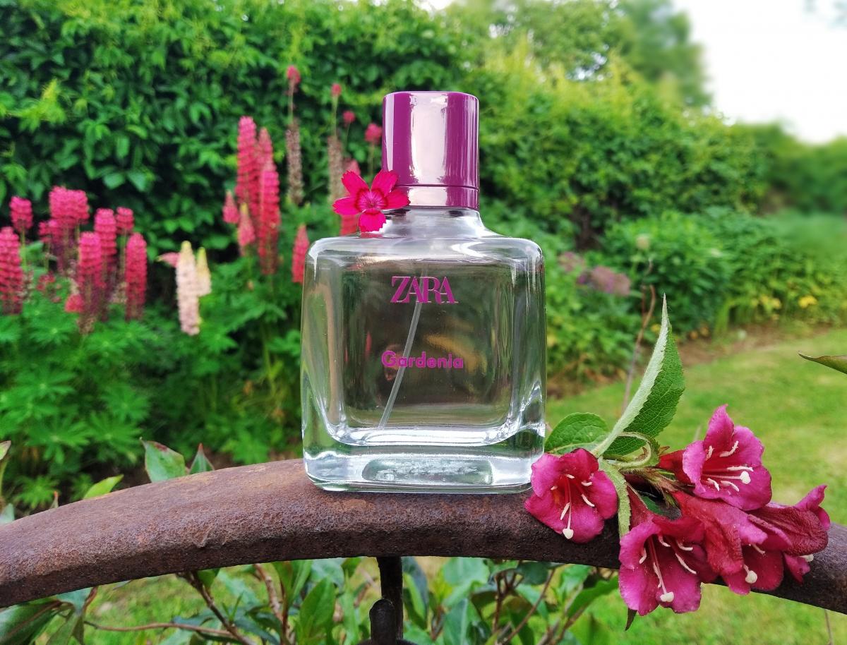 عطر ادکلن زارا گاردنیا ۲۰۱۶ زارا - Zara Gardenia 2016 Zara - بررسی، قیمت و خرید