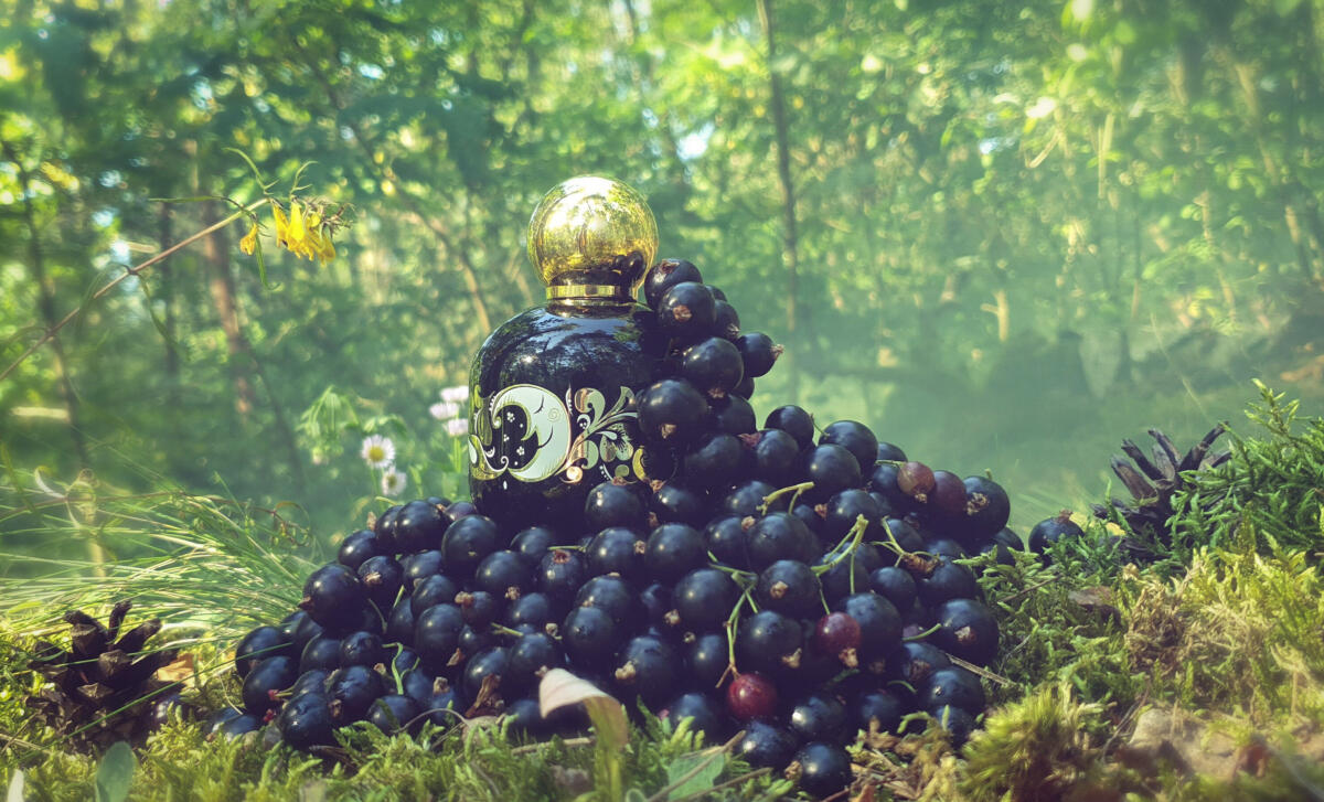 عطر ادکلن انچنتد فورست د واگاباند پرینس - Enchanted Forest The Vagabond Prince - بررسی، قیمت و خرید