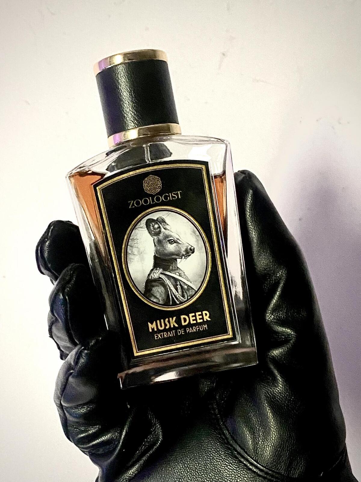 عطر ادکلن مُسک دیر زئولوژیست پرفیومز - Musk Deer Zoologist Perfumes - بررسی، قیمت و خرید
