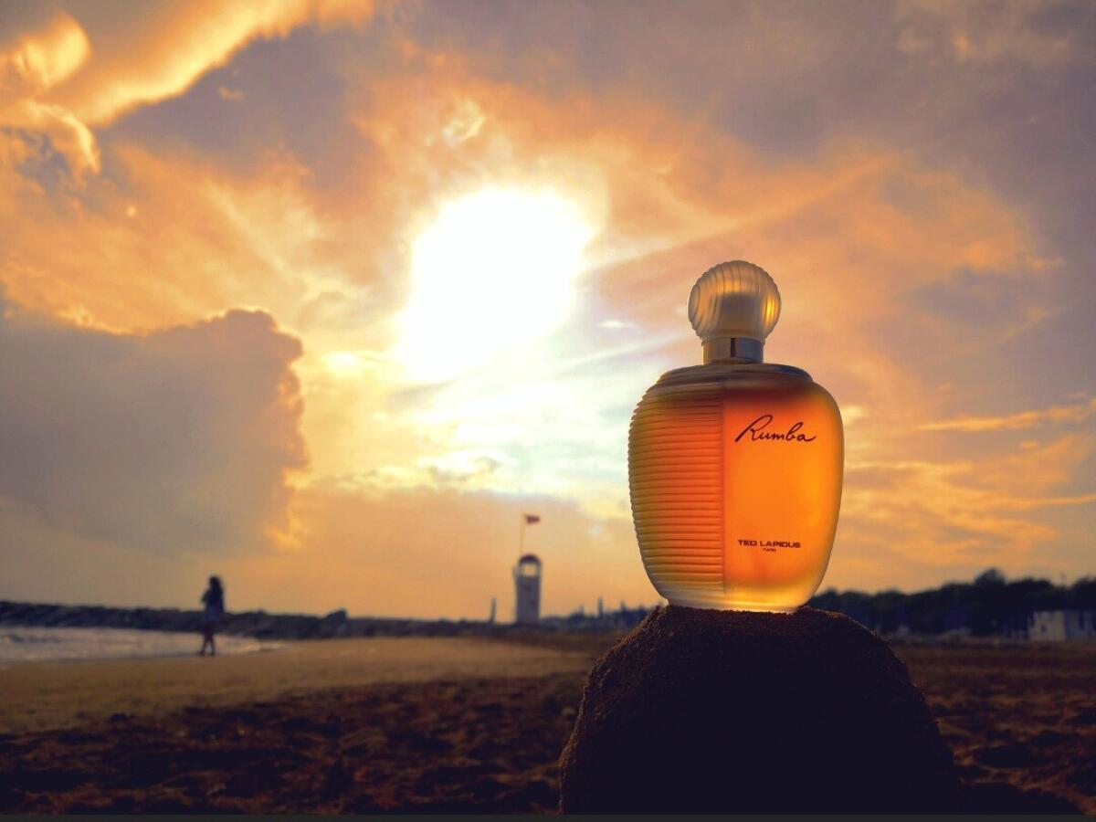 عطر ادکلن رومبا تد لاپیدوس - Rumba Ted Lapidus - بررسی، قیمت و خرید