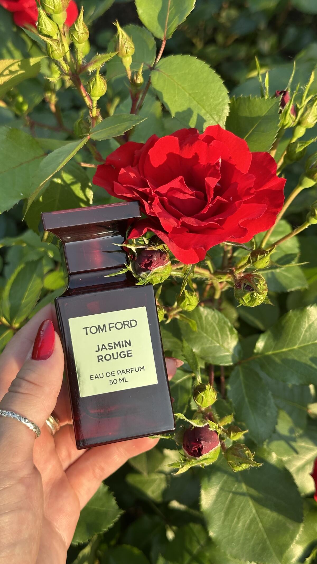 عطر ادکلن جاسمین رژ تام فورد - Jasmin Rouge Tom Ford - بررسی، قیمت و خرید