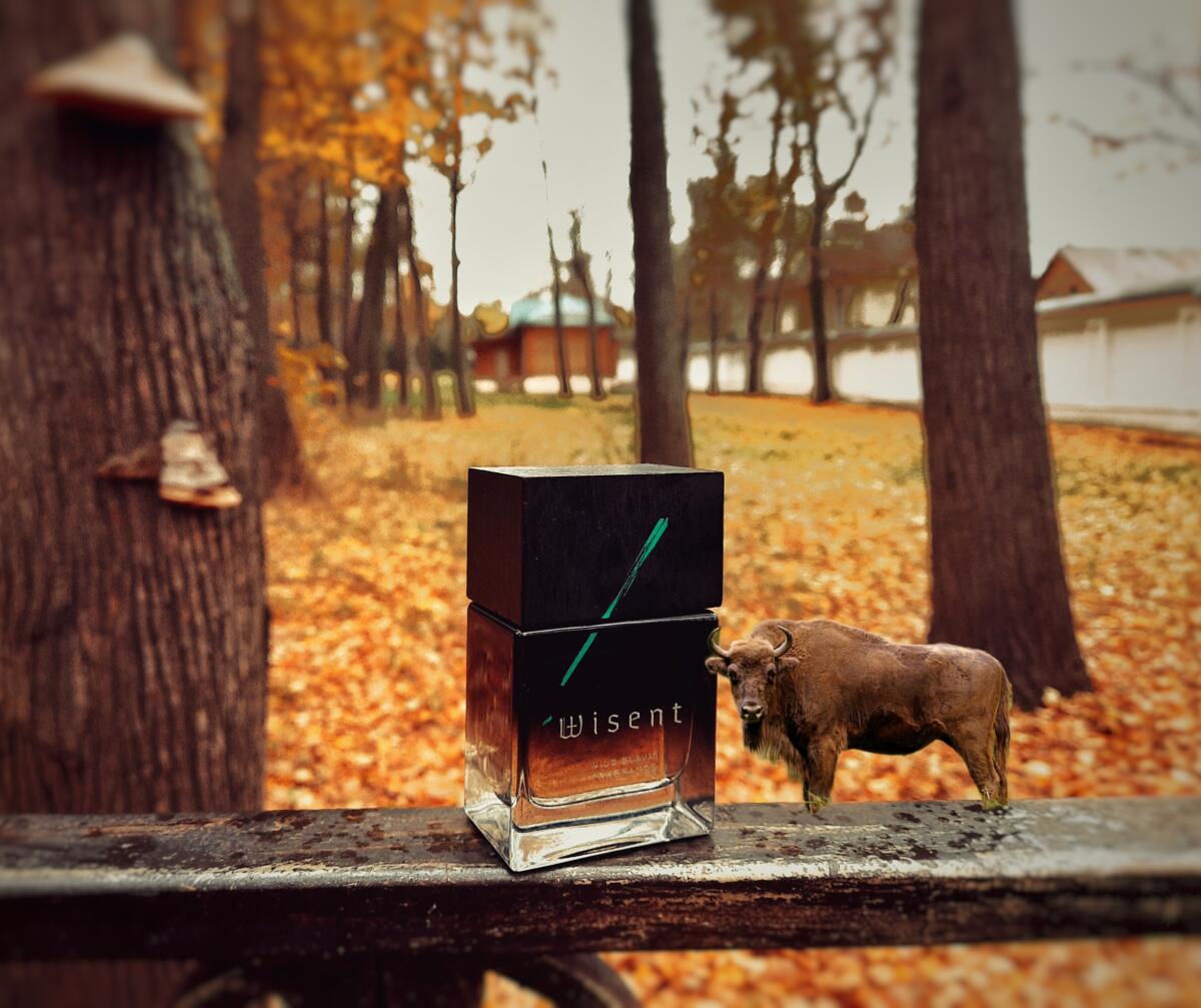 عطر ادکلن وایسنت وولف برادرز - Wisent Wolf Brothers - بررسی، قیمت و خرید