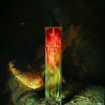 عطر ادکلن اِنوای گوچی - Envy Gucci - بررسی، قیمت و خرید