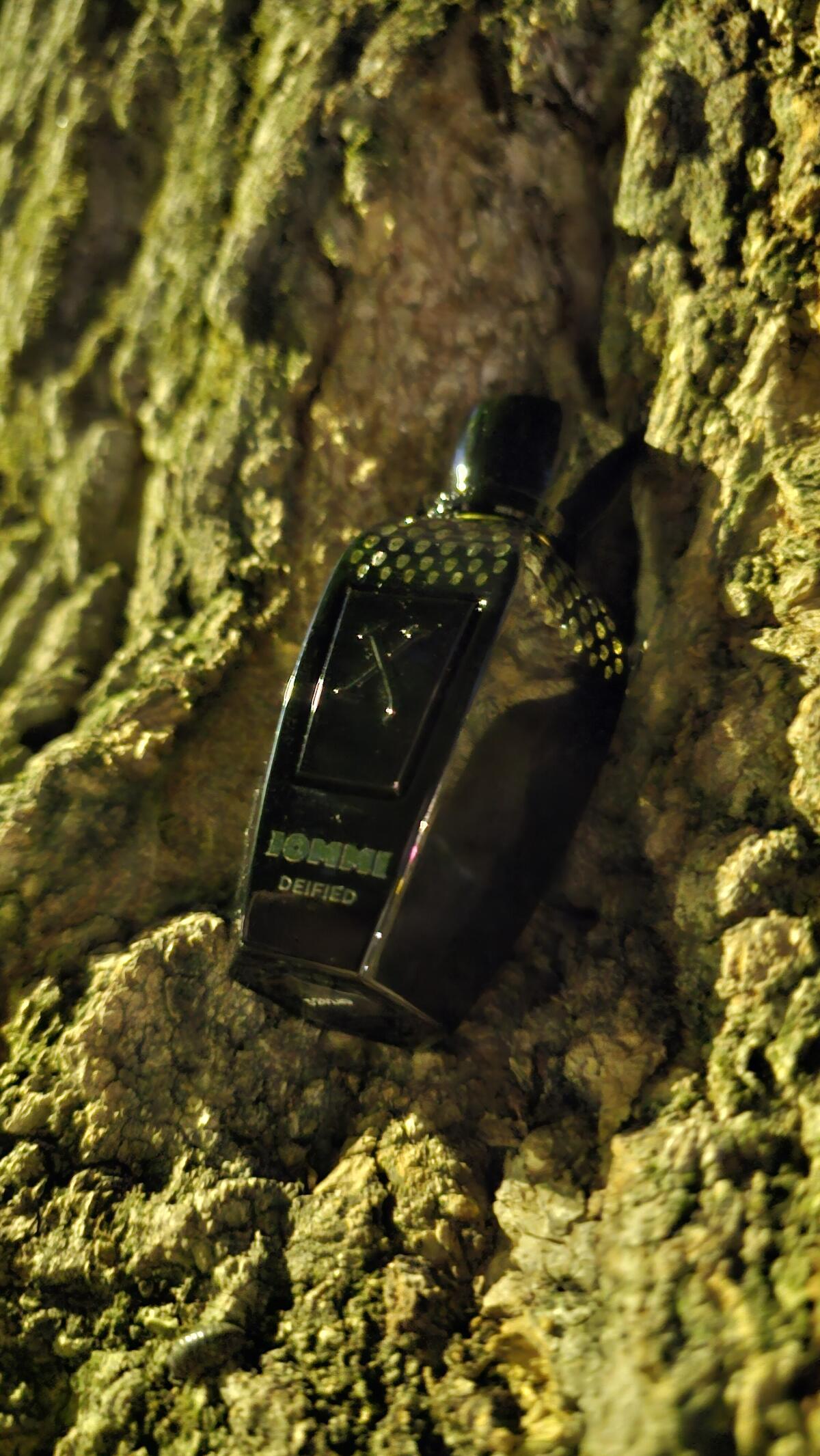 عطر ادکلن دیفاید تونی آیومی پرفیوم زرجف - Deified Tony Iommi Parfum Xerjoff - بررسی، قیمت و خرید