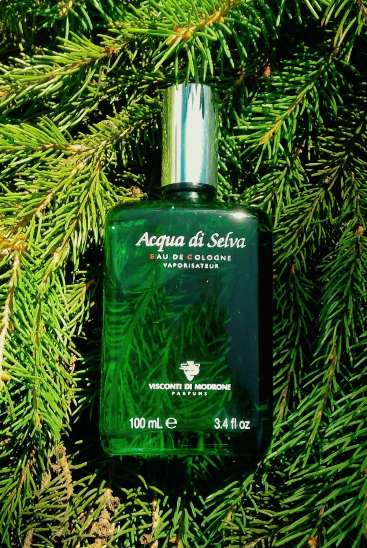 عطر ادکلن آکوا دی سلوا ویسکونتی دی مودرونه - Acqua di Selva Visconti di Modrone - بررسی، قیمت و خرید