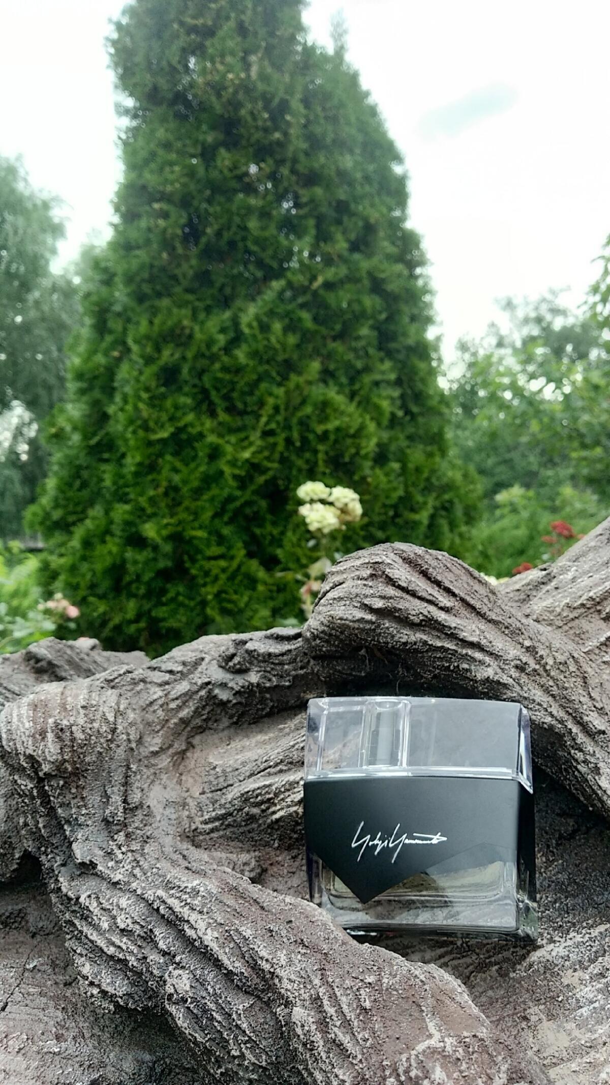 عطر ادکلن آیم نات گوئینگ تو دیستورب یو فم یوجی یاماموتو - I'm Not Going to Disturb You Femme Yohji Yamamoto - بررسی، قیمت و خرید