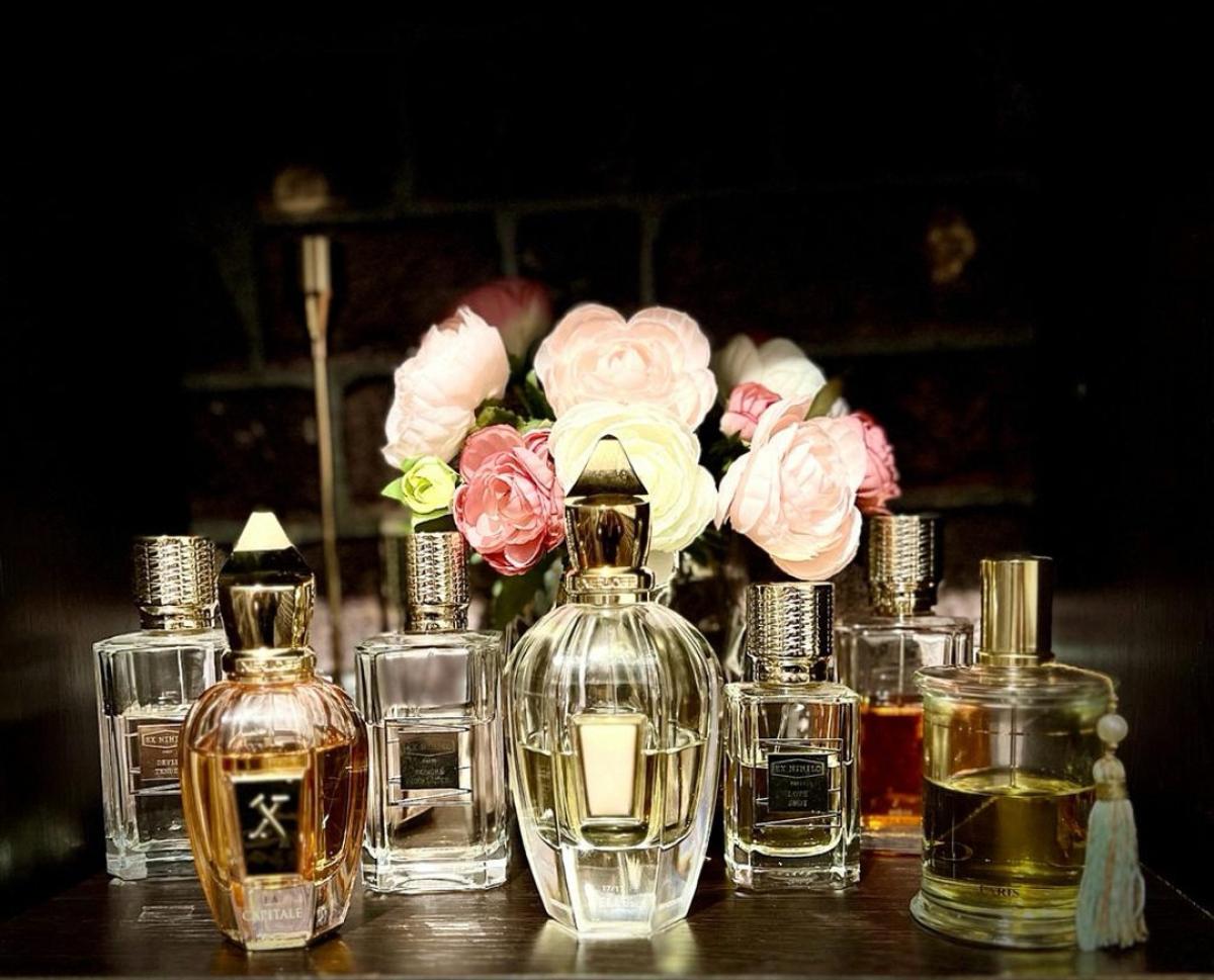 عطر ادکلن ال زرجوف - Elle Xerjoff - بررسی، قیمت و خرید