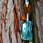 عطر ادکلن میس فنجل کلاسیک فِنژال - Miss Fenjal Classic Fenjal - بررسی، قیمت و خرید