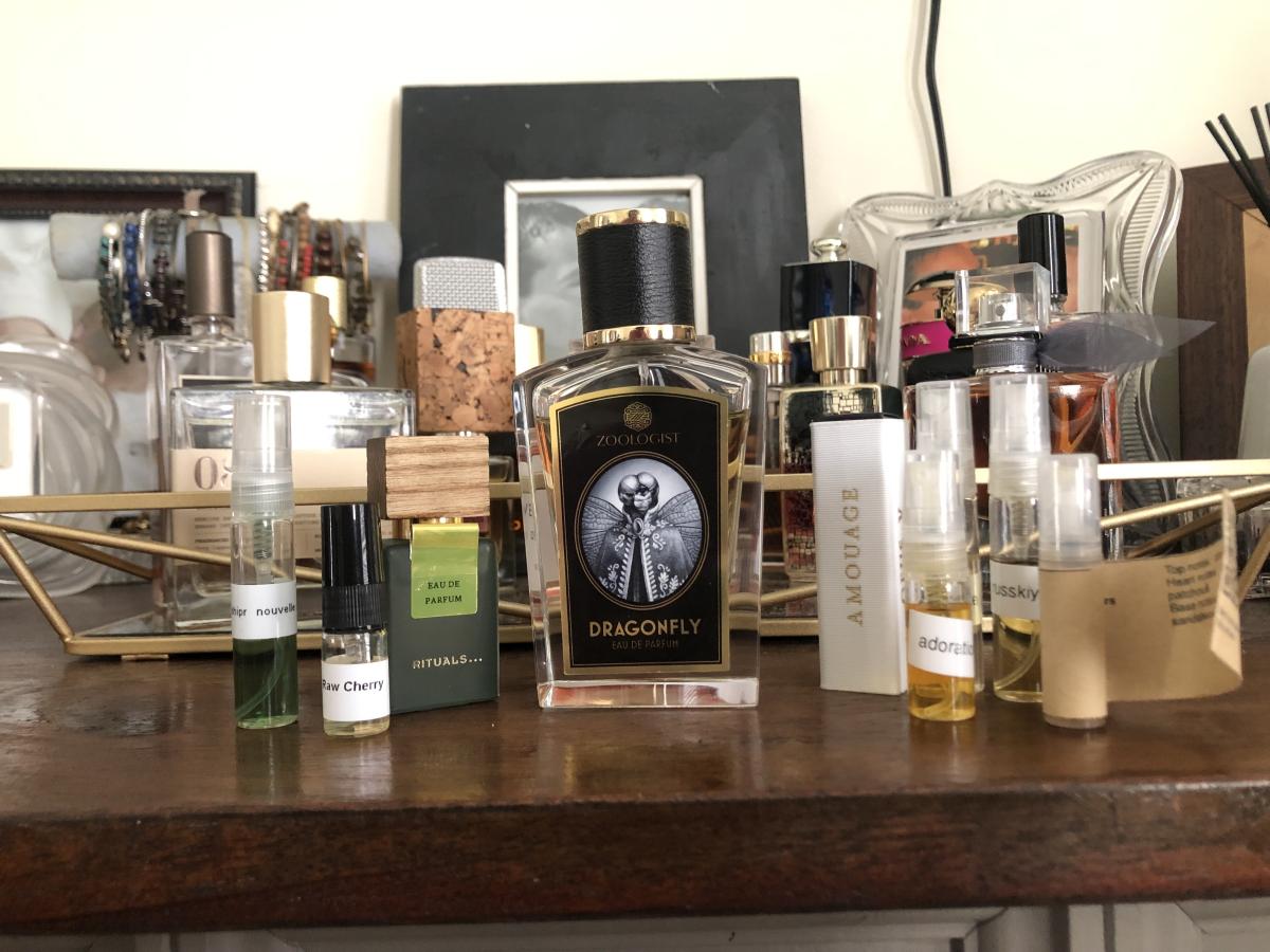 عطر ادکلن دراگون فلای زولوژیست پرفیومز - Dragonfly Zoologist Perfumes - بررسی، قیمت و خرید