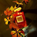 عطر ادکلن روج مالاکایت لیمیتد ادیشن لور دو روسی جورجیو آرمانی - Rouge Malachite Limited Edition L'Or de Russie Giorgio Armani - بررسی، قیمت و خرید