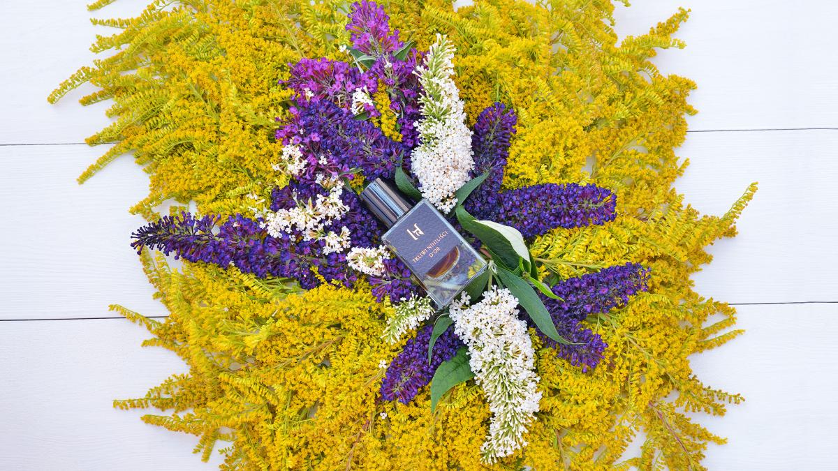 عطر ادکلن دور تکلیوی نیهیلیستی - D'OR Tkliwi Nihilisci - بررسی، قیمت و خرید