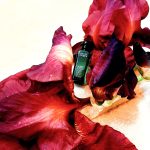عطر ادکلن اُ دو کُلُن حِرمِس اِرمِس - Eau de Cologne Hermes Hermès - بررسی، قیمت و خرید