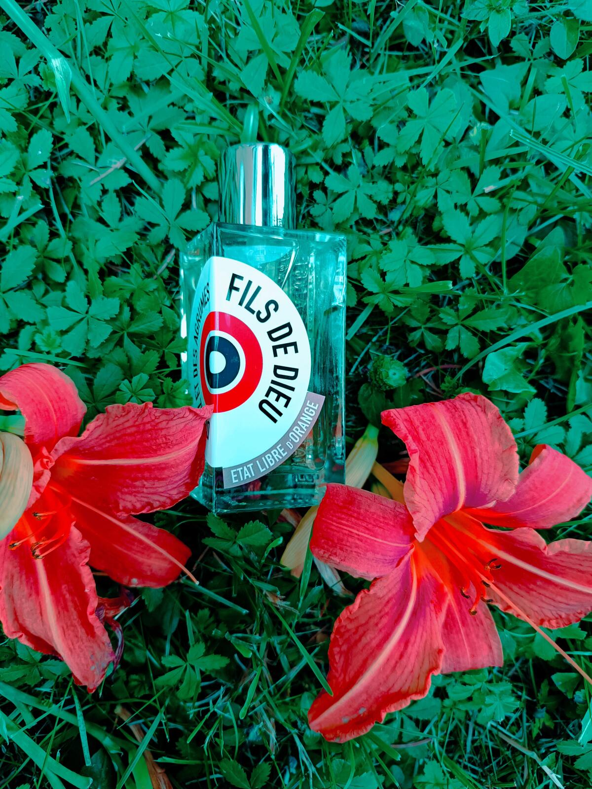 عطر ادکلن فیلز دو دیو دو ریز اِ دِز اگروم اِتات لیبره دو اورانژ - Fils de Dieu du riz et des agrumes Etat Libre d'Orange - بررسی، قیمت و خرید
