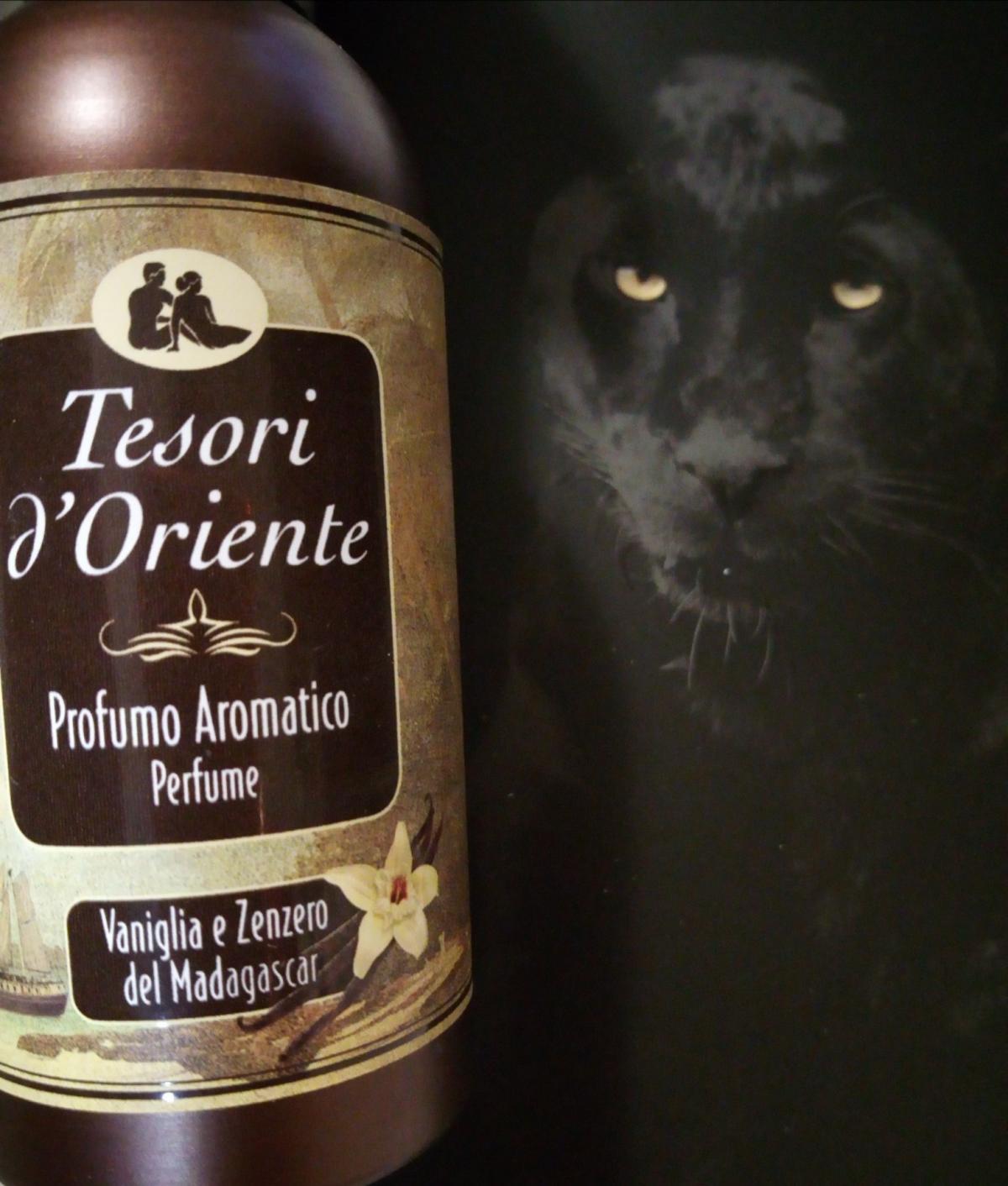 عطر ادکلن وانیلیا زنجرو دل ماداگاسکار تسوری دورینته - Vaniglia e Zenzero del Madagascar Tesori d'Oriente - بررسی، قیمت و خرید