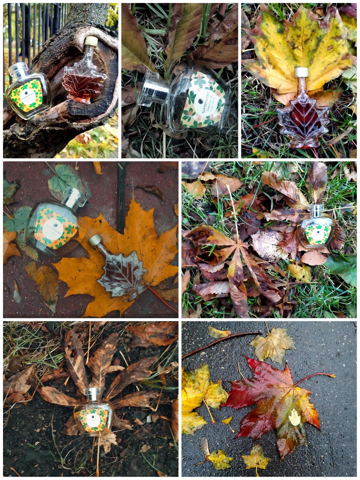 عطر ادکلن کستانیا توتوتوندو - Castagna Tuttotondo - بررسی، قیمت و خرید