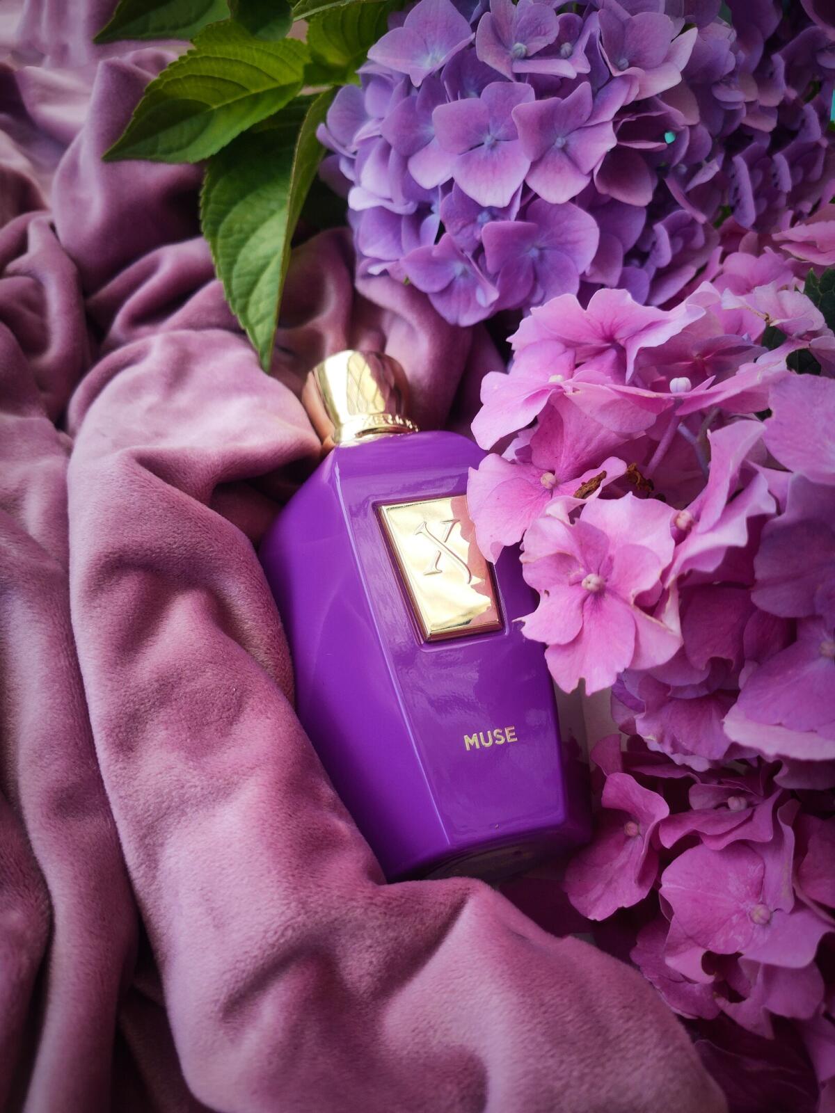 عطر ادکلن میوز زرجف - Muse Xerjoff - بررسی، قیمت و خرید