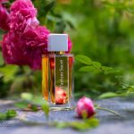 عطر ادکلن لا سلکشن پارفوم ساکره کارون - La Selection Parfum Sacre Caron - بررسی، قیمت و خرید