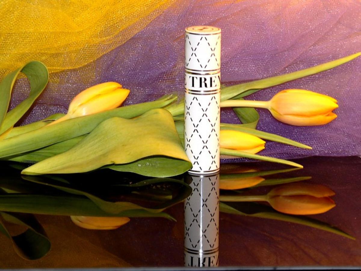 عطر ادکلن نو سیکس بو دیپ د ترند بای هاوس آو سیلاج - No. 6 Bow Deep The Trend by House of Sillage - بررسی، قیمت و خرید
