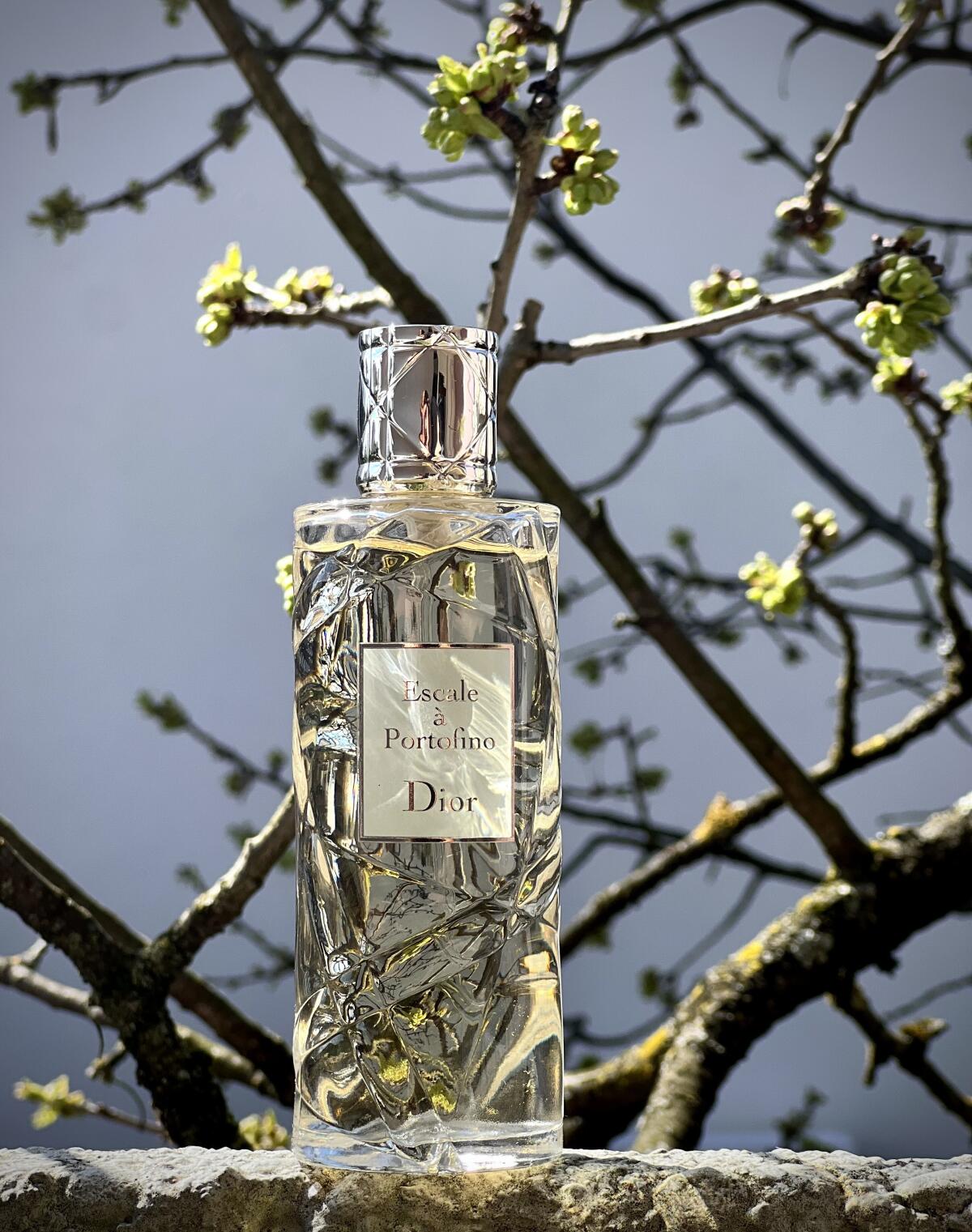 عطر ادکلن کروز کالکشن - اسکاله آ پورتوفینو لیمیتد ادیشن دیور - Cruise Collection - Escale a Portofino Limited Edition Dior - بررسی، قیمت و خرید