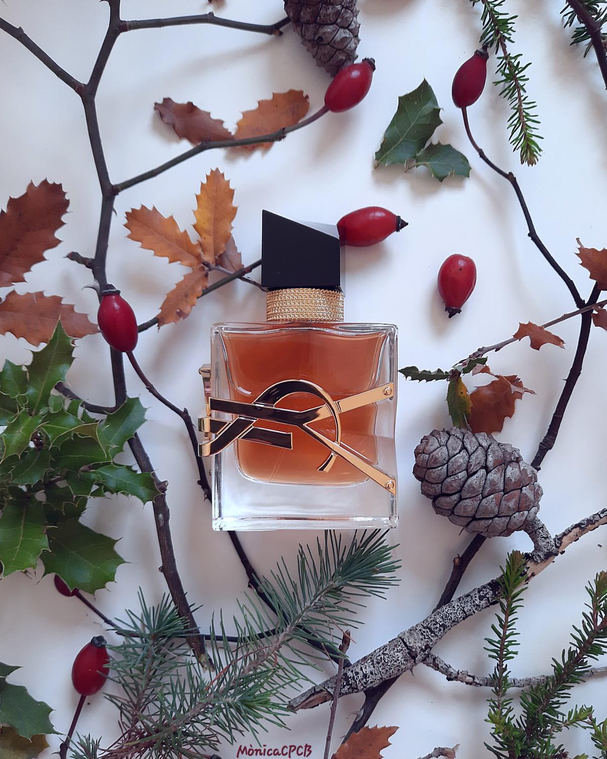عطر ادکلن لیبره اینتنس ایو سن لوران - Libre Intense Yves Saint Laurent - بررسی، قیمت و خرید
