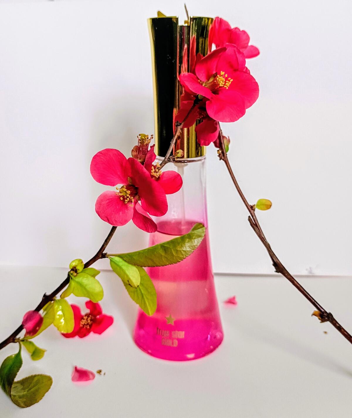 عطر ادکلن طرو استار گلد تامی هیلفیگر - True Star Gold Tommy Hilfiger - بررسی، قیمت و خرید
