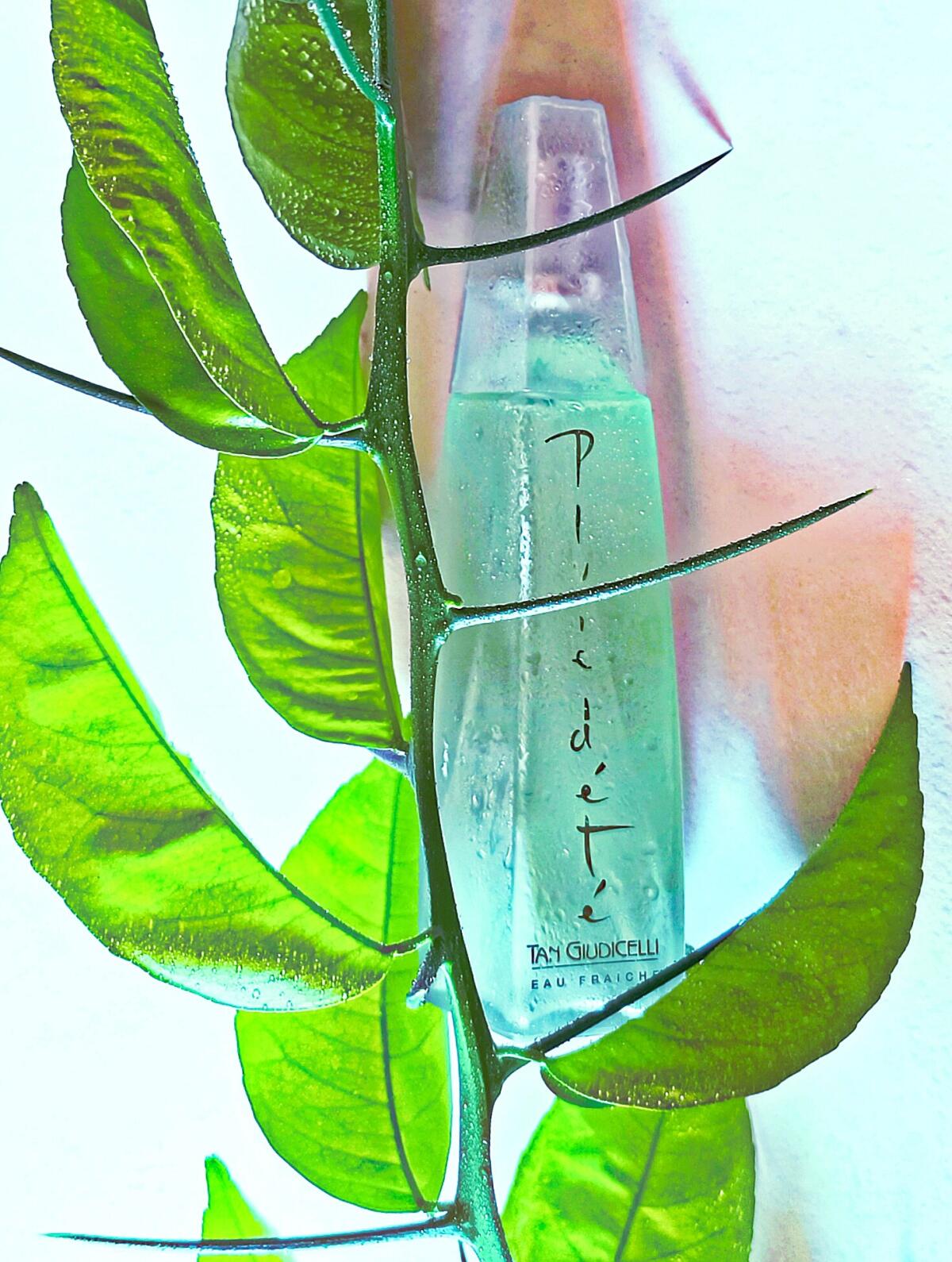 عطر ادکلن پلویدته تن جوادچلی - Pluie d'Ete Tan Giudicelli - بررسی، قیمت و خرید