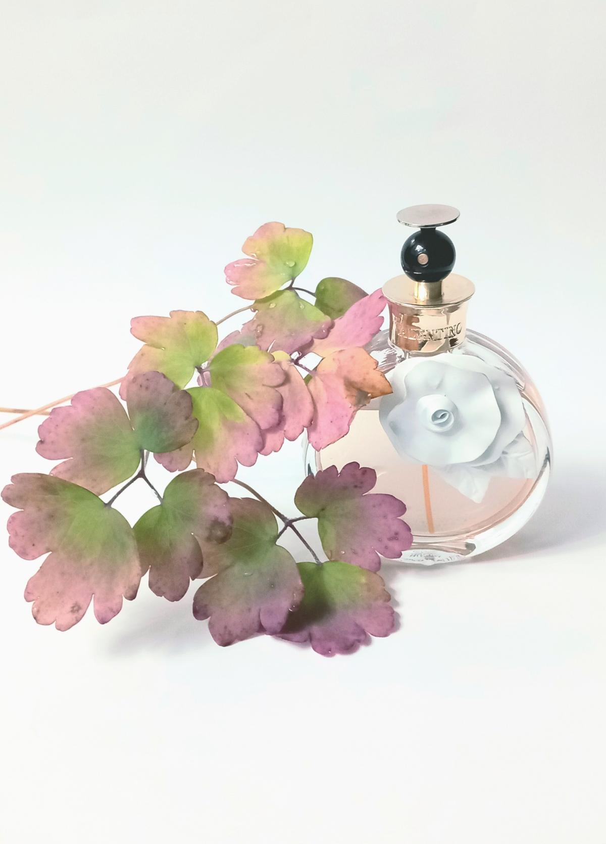 عطر ادکلن والنتینا آکوا فلورال والنتینو - Valentina Acqua Floreale Valentino - بررسی، قیمت و خرید