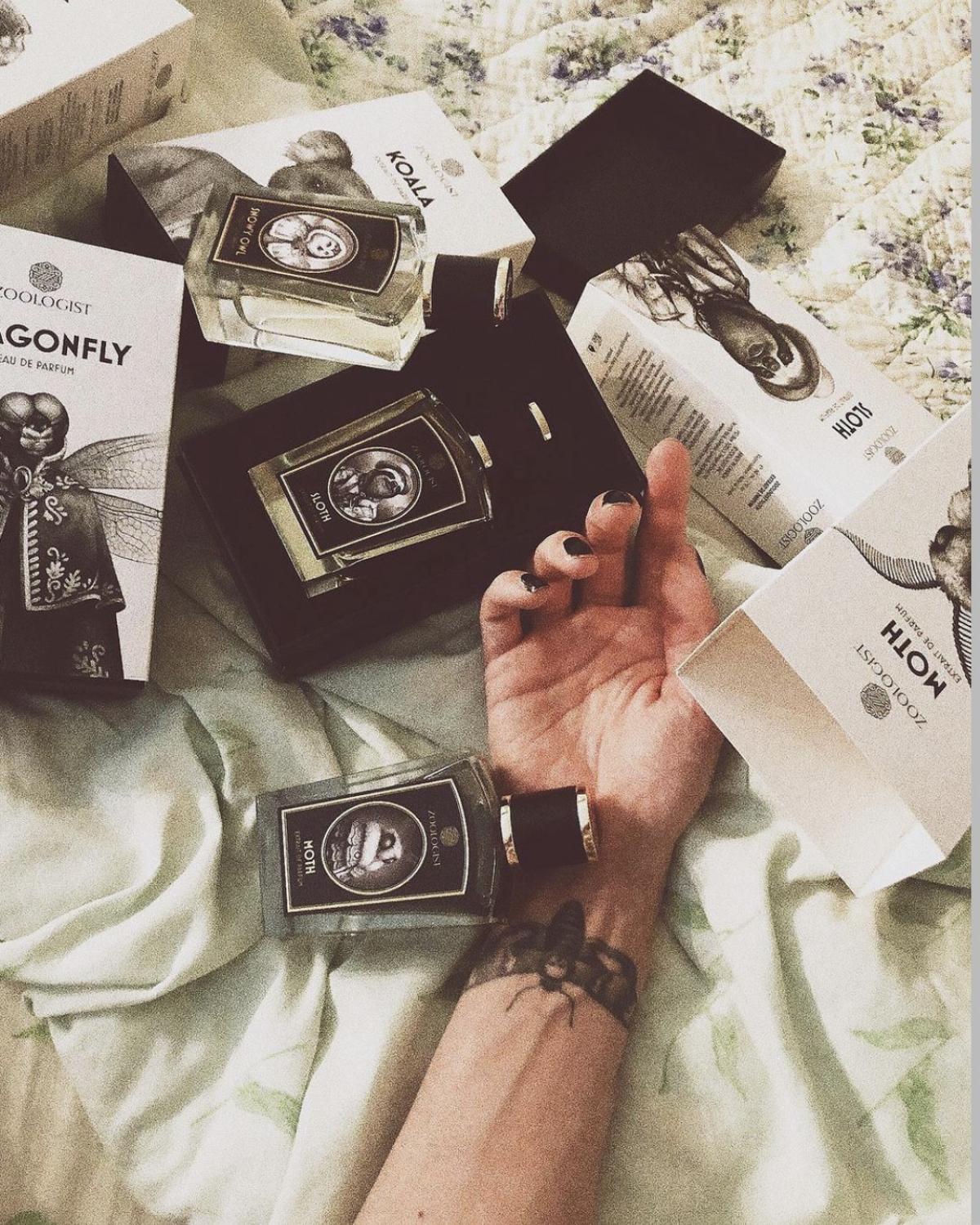 عطر ادکلن اسلات زولوجیست پرفیومز - Sloth Zoologist Perfumes - بررسی، قیمت و خرید
