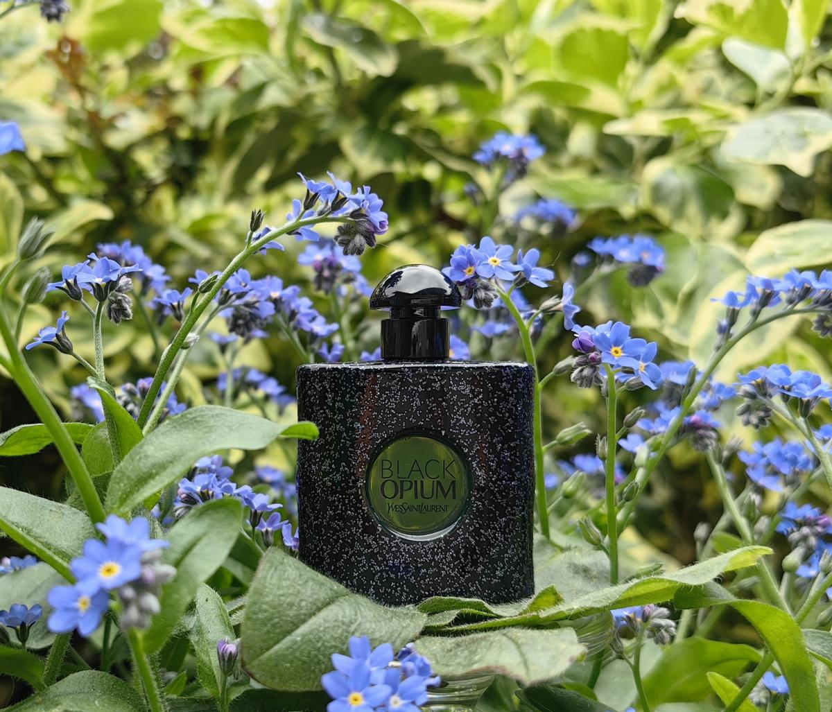 عطر ادکلن بلک اوپیوم ایلیسیت گرین ایو سن لورن - Black Opium Illicit Green Yves Saint Laurent - بررسی، قیمت و خرید