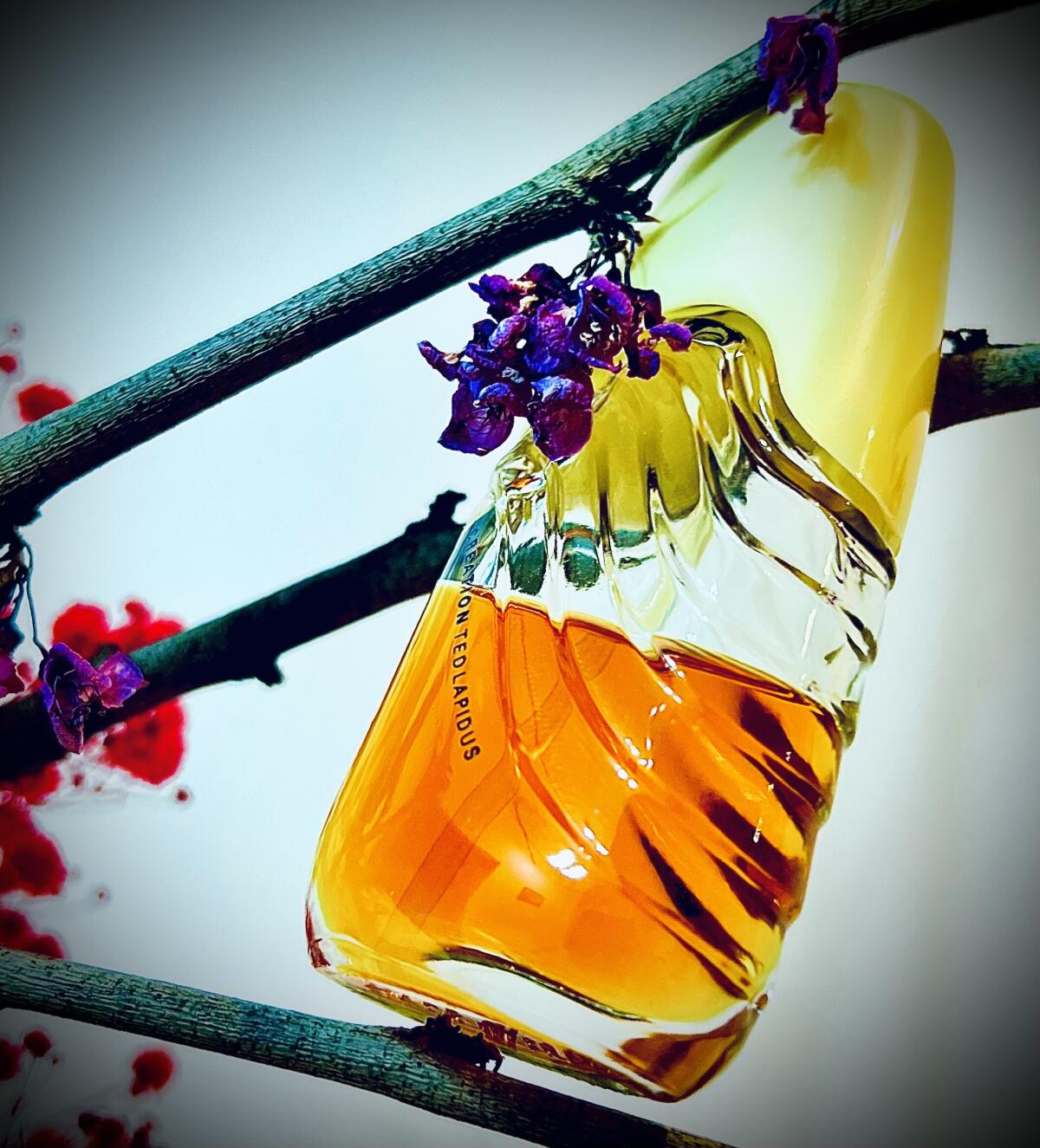 عطر ادکلن کریشِن 1984 تد لاپیدوس - Creation 1984 Ted Lapidus - بررسی، قیمت و خرید