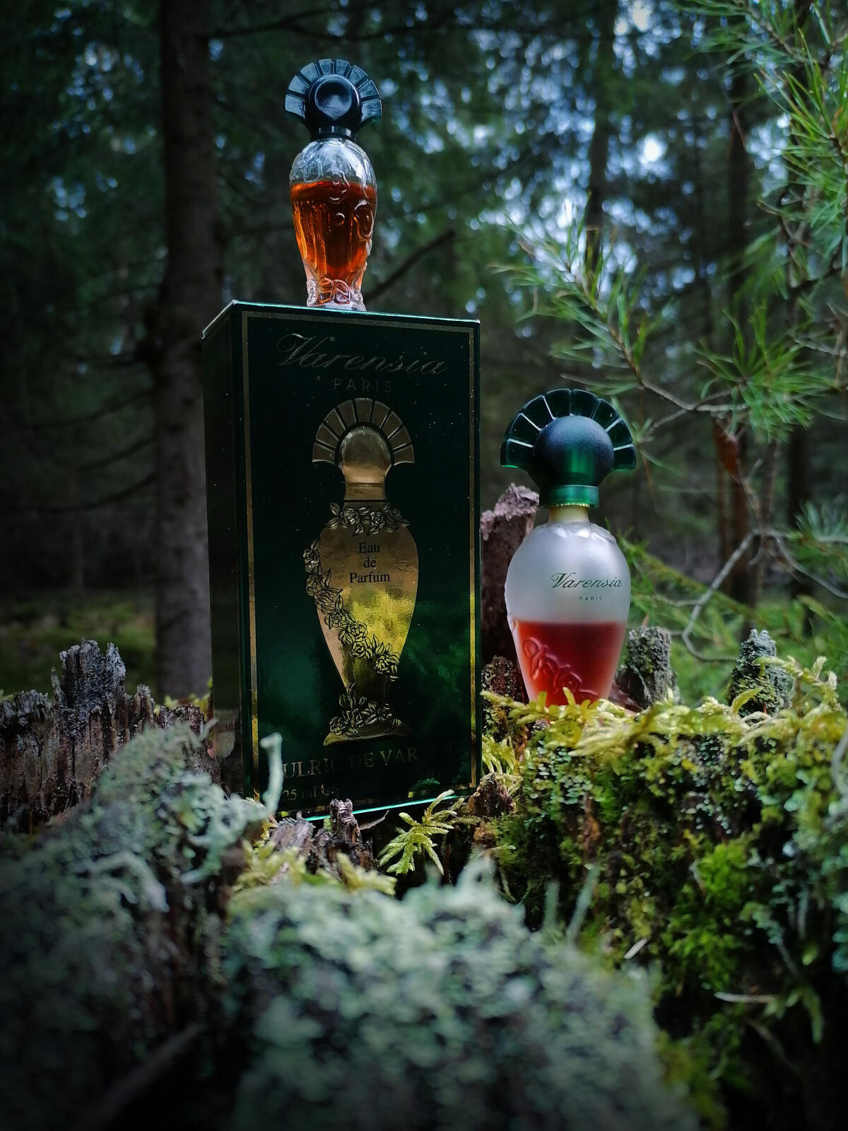 عطر ادکلن وارنسی اولریک دو وارنس - Varensia Ulric de Varens - بررسی، قیمت و خرید