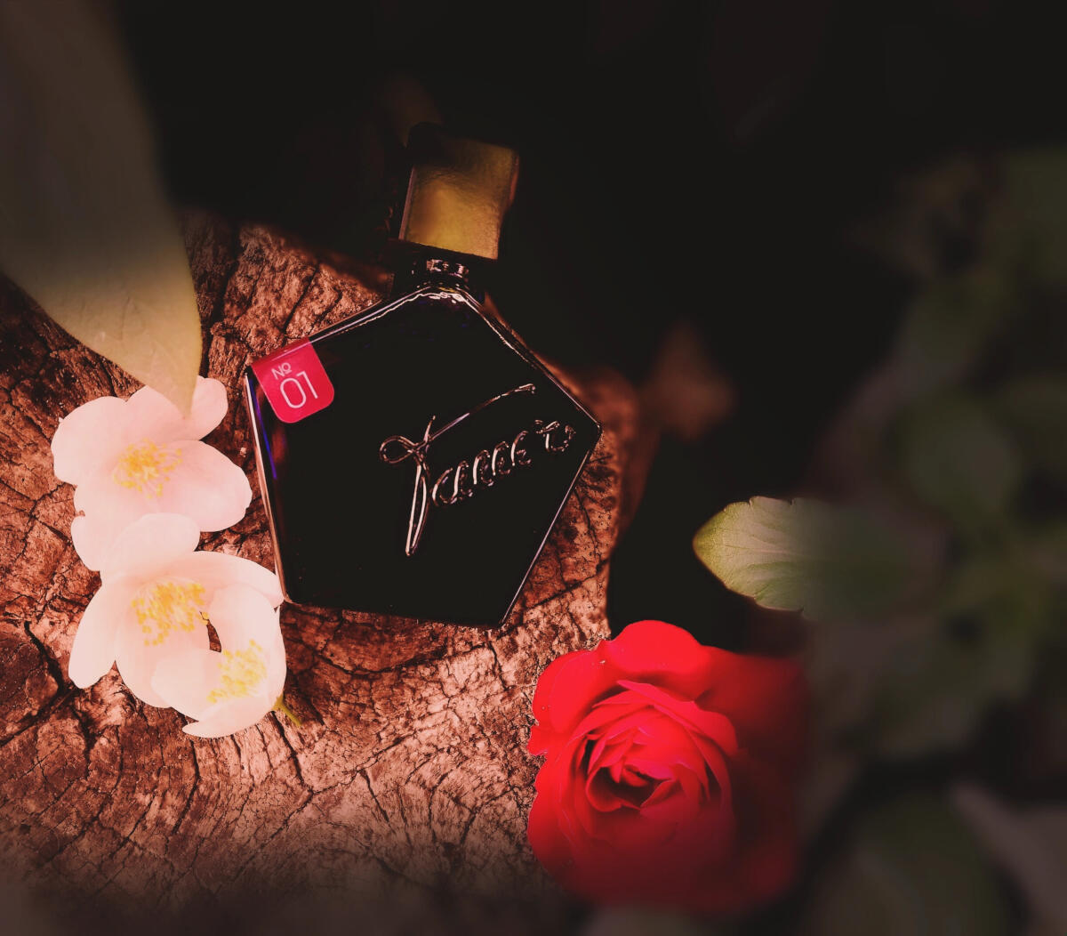 عطر ادکلن ۰۱ له ماروک پور ال تاور پرفیومز - 01 Le Maroc Pour Elle Tauer Perfumes - بررسی، قیمت و خرید