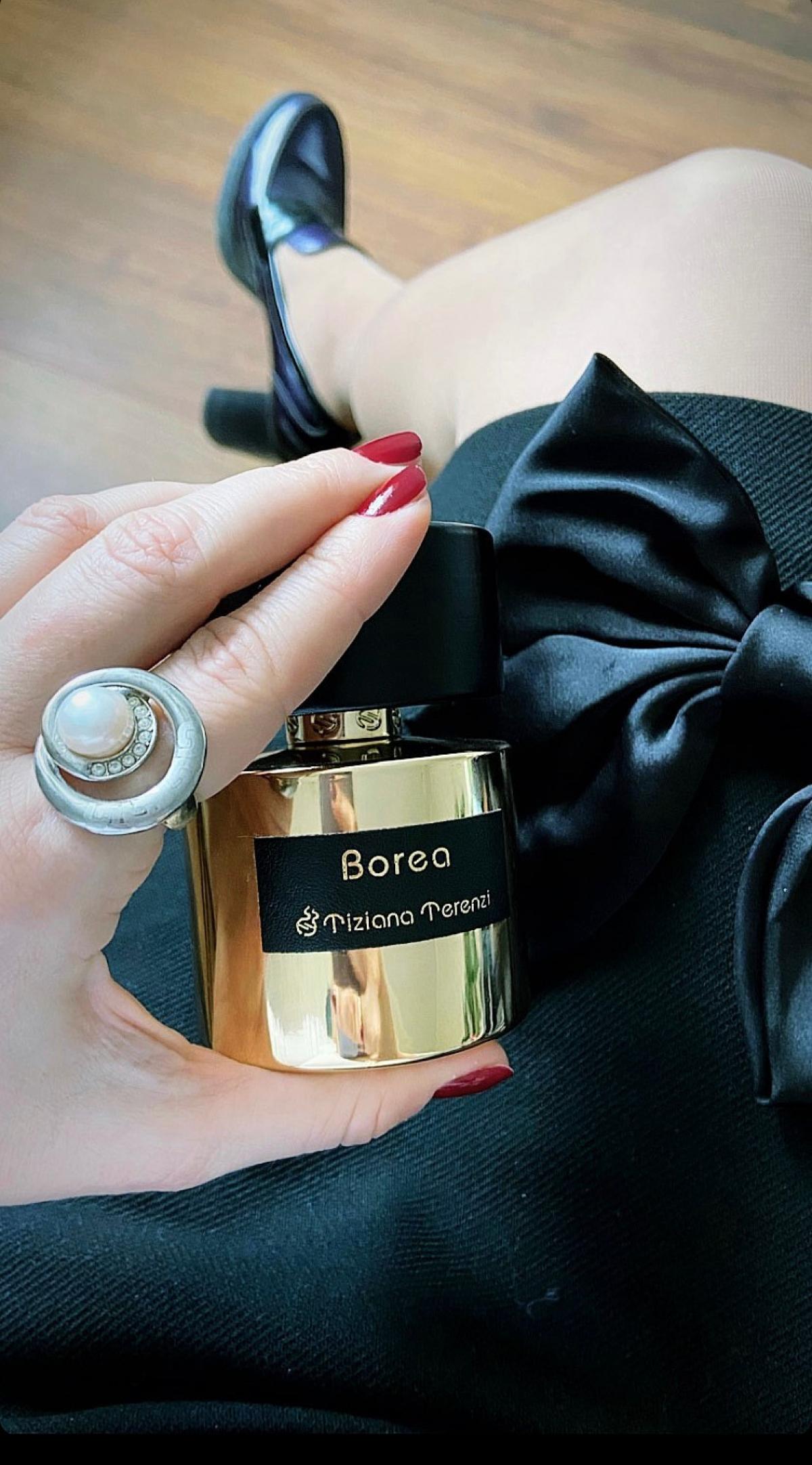 عطر ادکلن بوره تیزیانا ترنزی - Borea Tiziana Terenzi - بررسی، قیمت و خرید