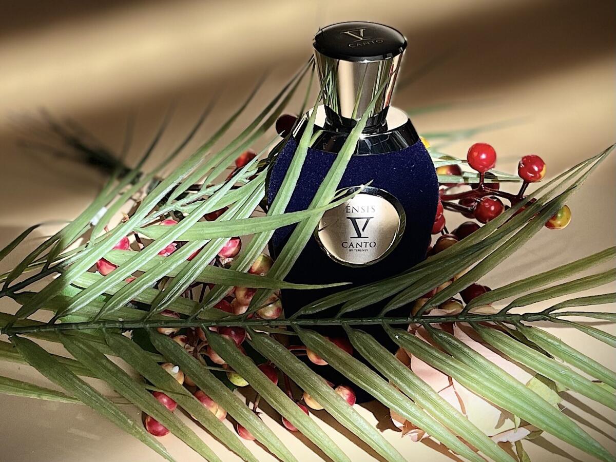 عطر ادکلن اینسیس وی کانتو - Ensis V Canto - بررسی، قیمت و خرید