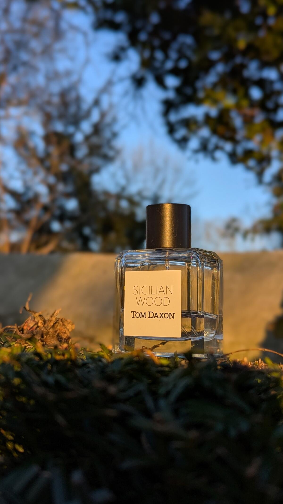 عطر ادکلن سیسیلیان وود تام داکسون - Sicilian Wood Tom Daxon - بررسی، قیمت و خرید