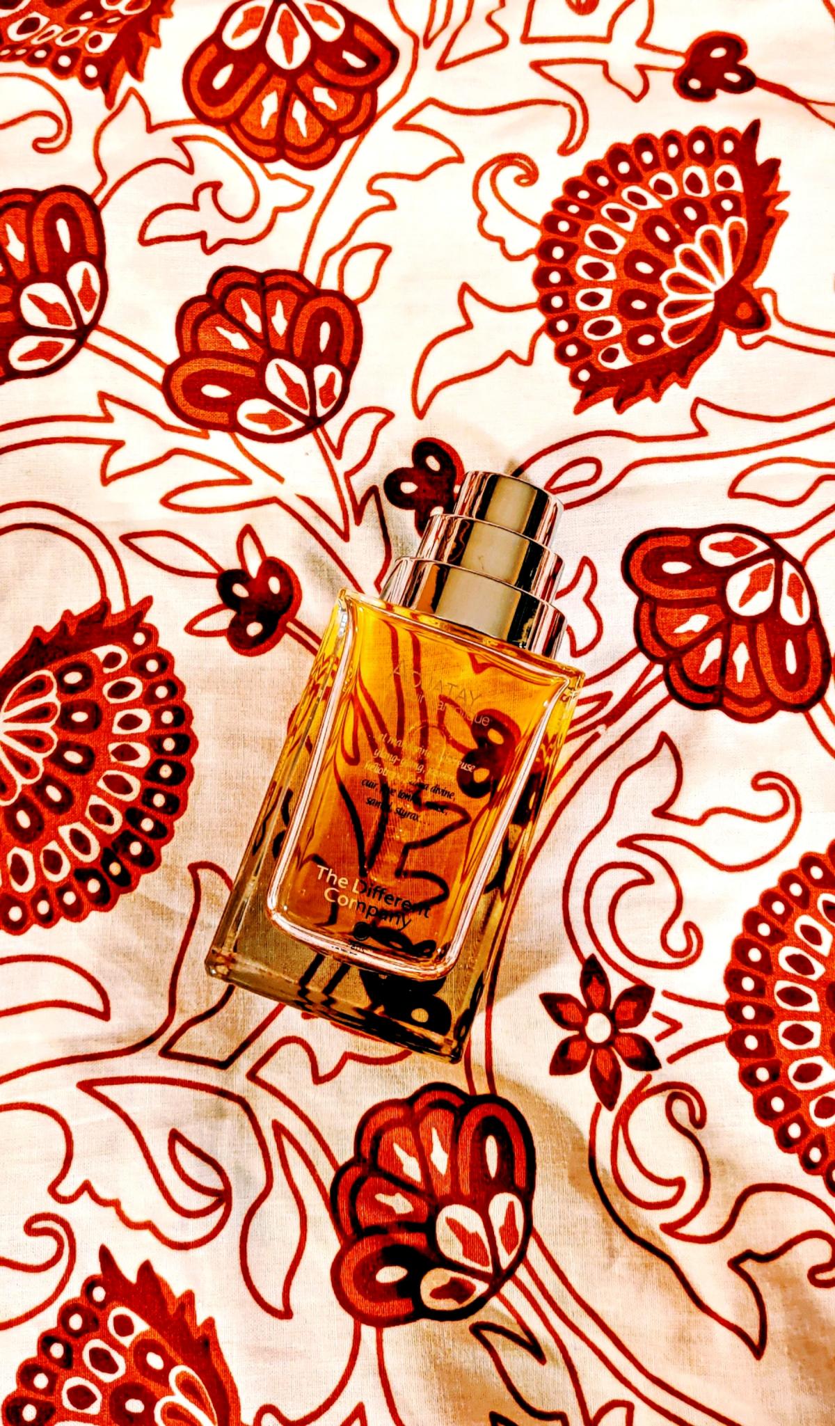 عطر ادکلن آجاتای د دیفرنت کامپنی - Adjatay The Different Company - بررسی، قیمت و خرید