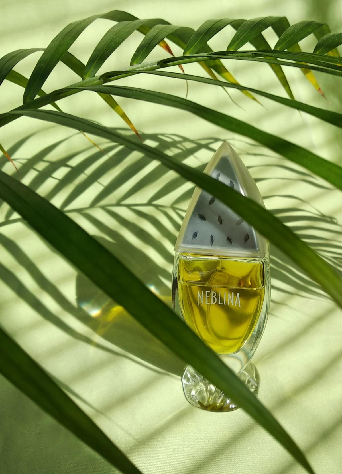 عطر ادکلن نبلینا ایو روشه - Neblina Yves Rocher - بررسی، قیمت و خرید