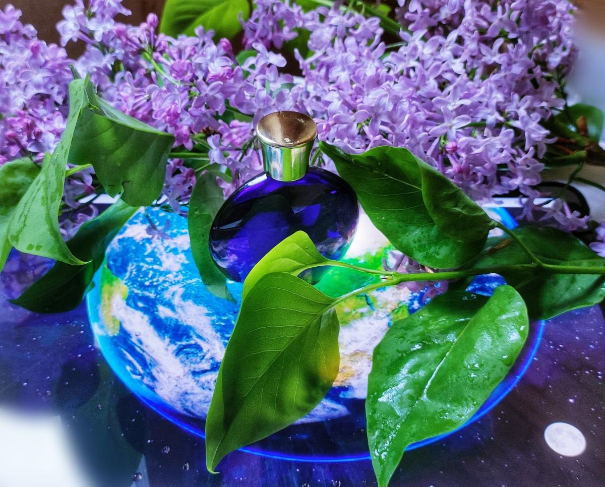 عطر ادکلن ژه روین او د تویلت ورت - Je Reviens Eau de Toilette Worth - بررسی، قیمت و خرید