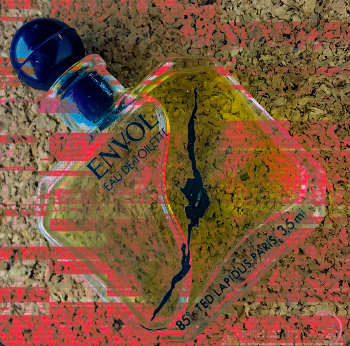 عطر ادکلن آنول تد لاپیدوس - Envol Ted Lapidus - بررسی، قیمت و خرید