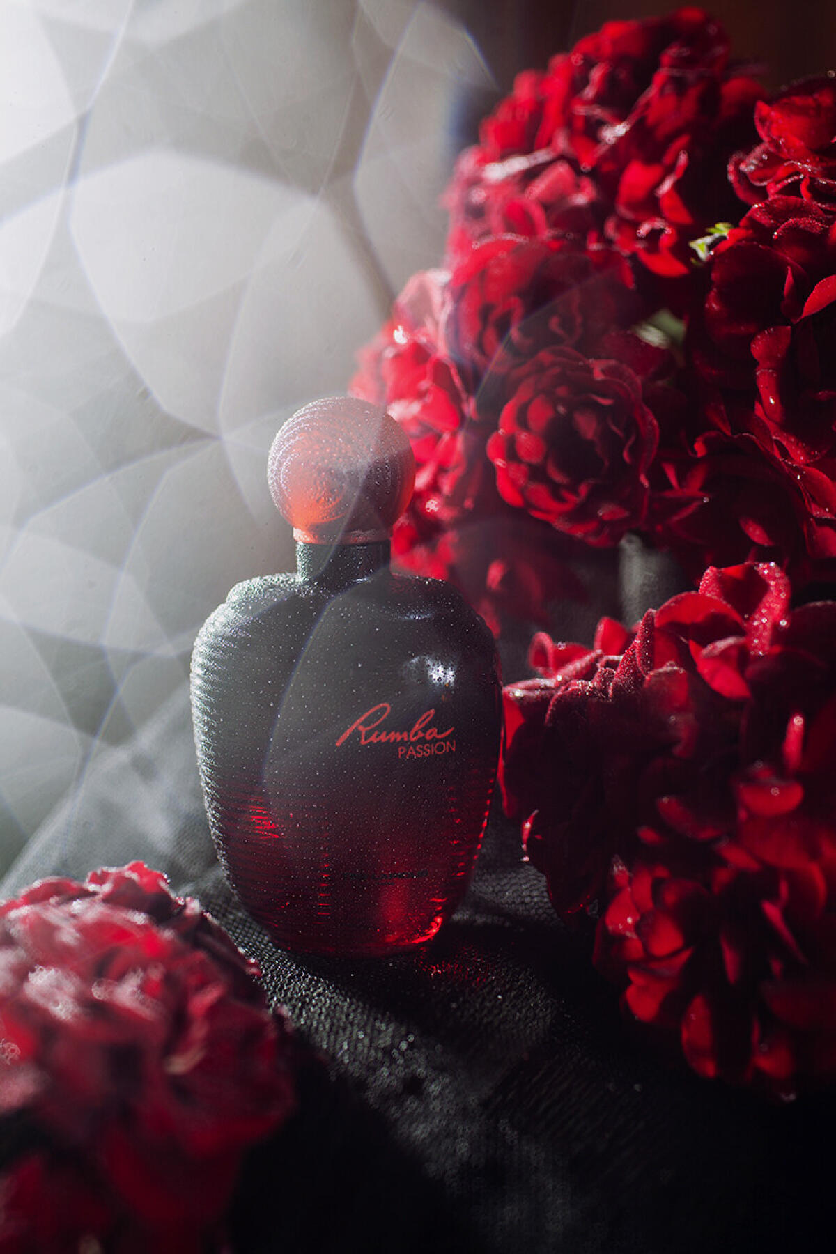 عطر ادکلن رومبا پشن تد لاپیدوس - Rumba Passion Ted Lapidus - بررسی، قیمت و خرید