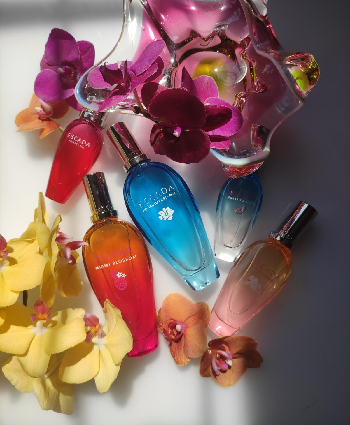 عطر ادکلن بِریسا کوبانا اِسکادا - Brisa Cubana Escada - بررسی، قیمت و خرید